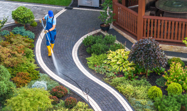 Best House Pressure Washing  in Gowanda, NY